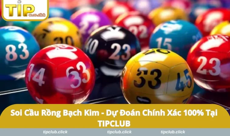 Soi Cầu Rồng Bạch Kim